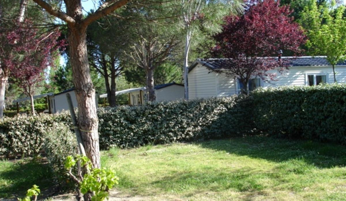 Camping La Massane photo 4