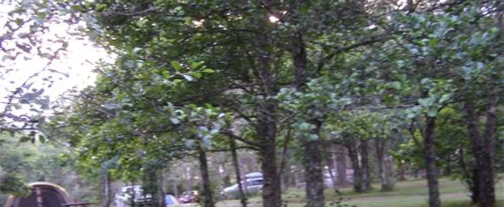 Cannich Carav. & Camp. Park