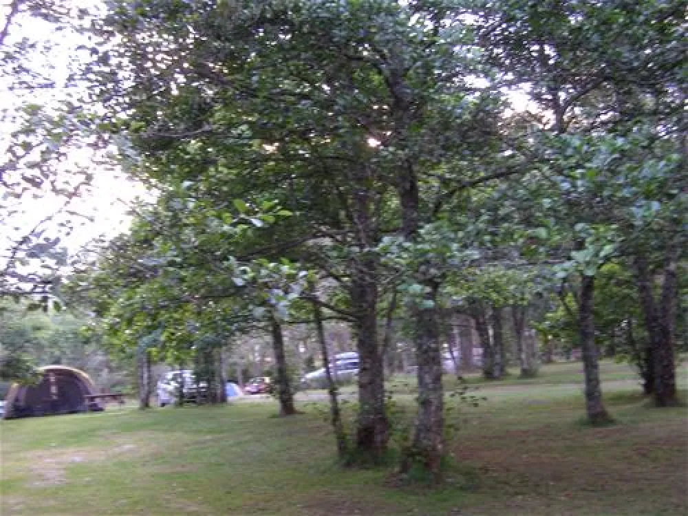 Cannich Carav. & Camp. Park