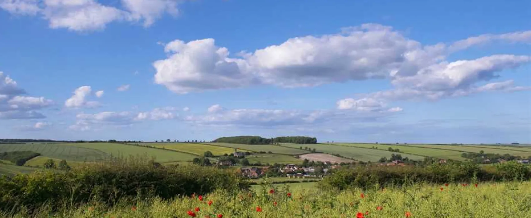 Yorkshire Wolds Glamping