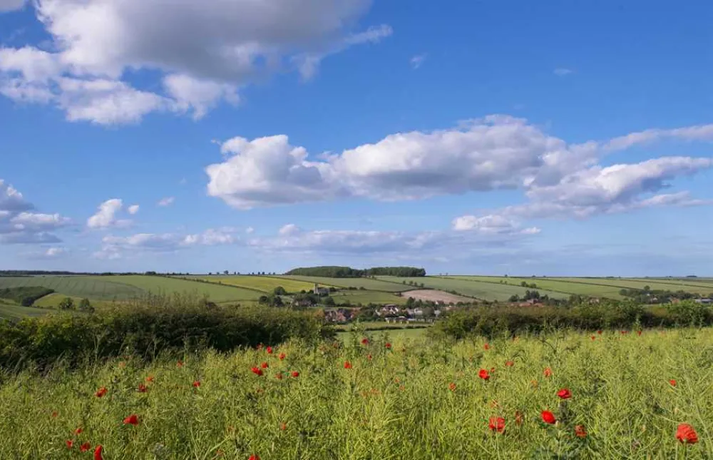 Yorkshire Wolds Glamping