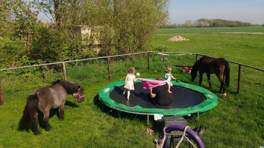 Minicamping Hoogelande