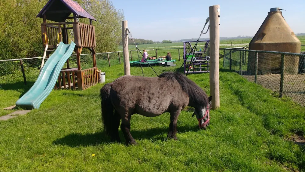 Minicamping Hoogelande