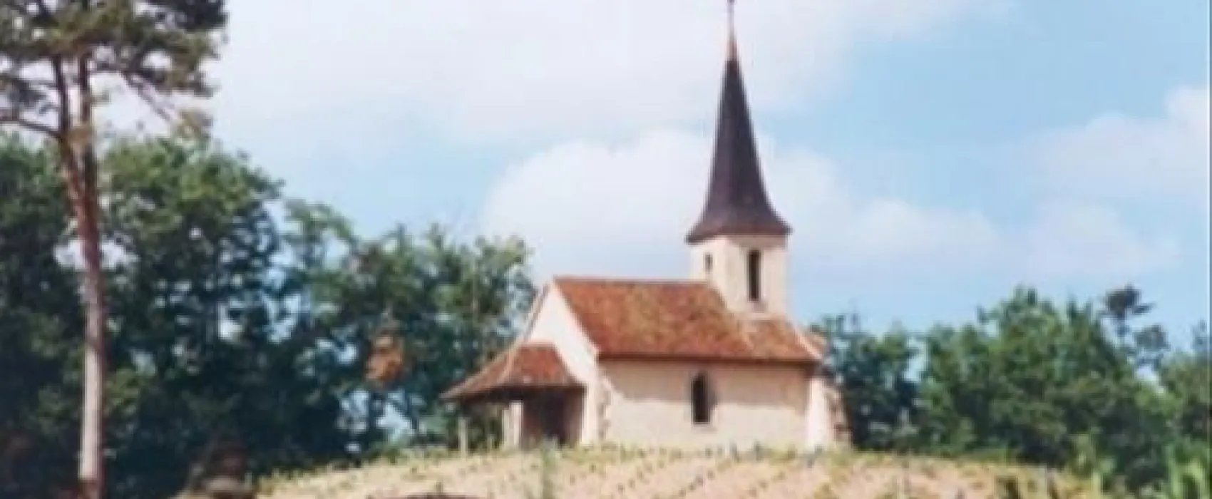 Camping Chateau De Montrouant  