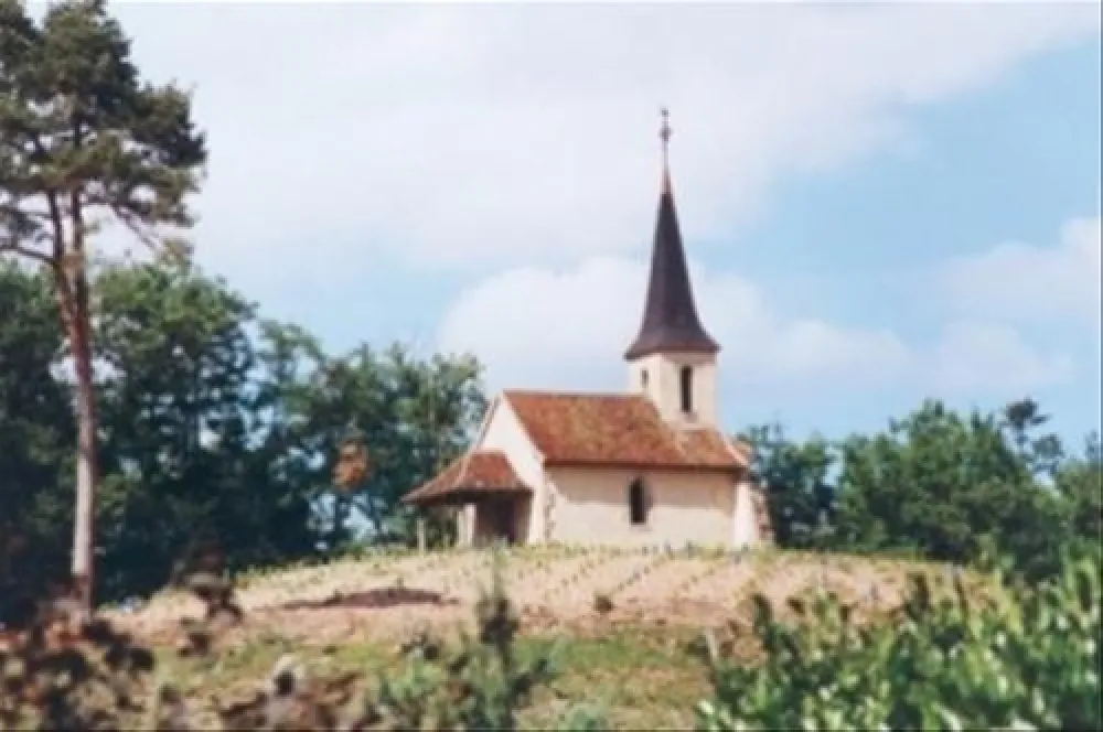 Camping Chateau De Montrouant  