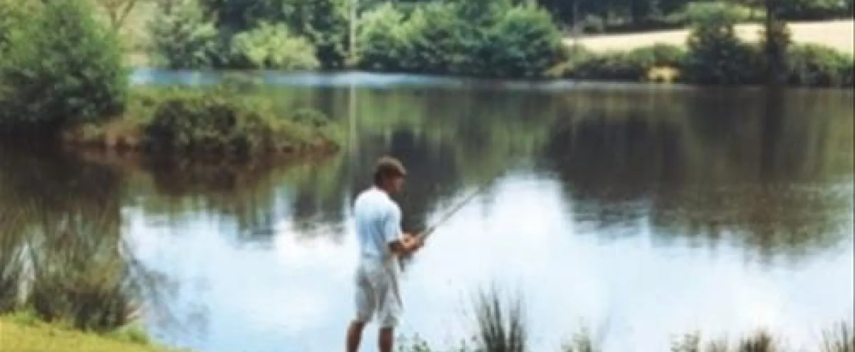 Camping Chateau De Montrouant  