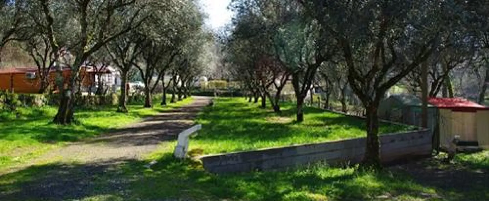Parque de Campismo Ponte das Três Entradas
