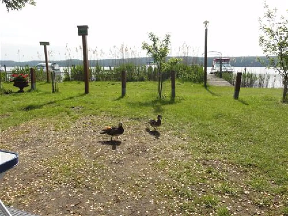 Camping Sanssouci zu Potsdam/Berlin