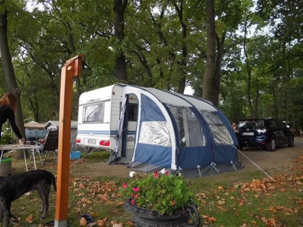 Camping Sanssouci zu Potsdam/Berlin