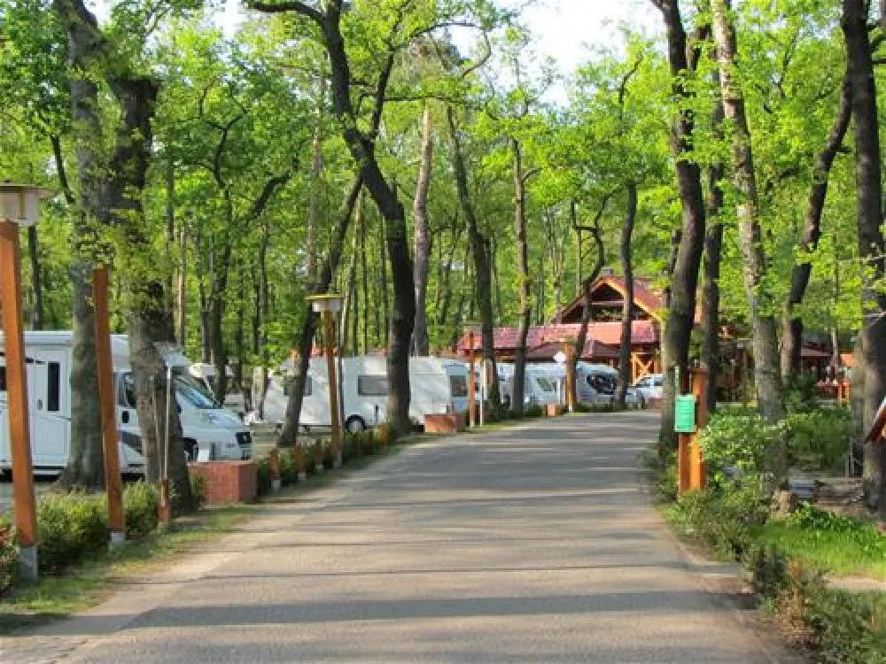 Camping Sanssouci zu Potsdam/Berlin