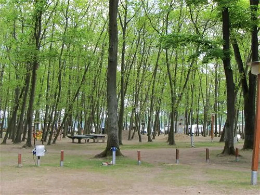 Camping Sanssouci zu Potsdam/Berlin