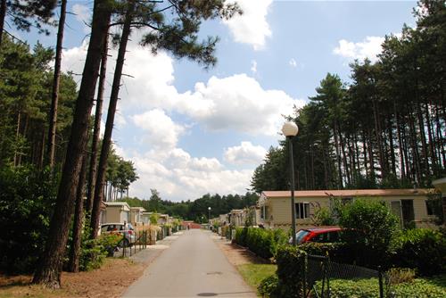 Verblijfpark Breebos photo 5