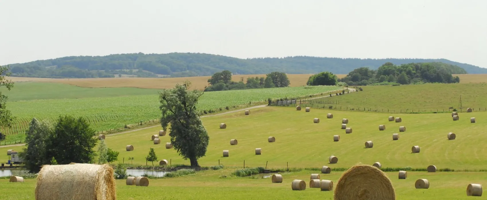 Camping La Jonquille