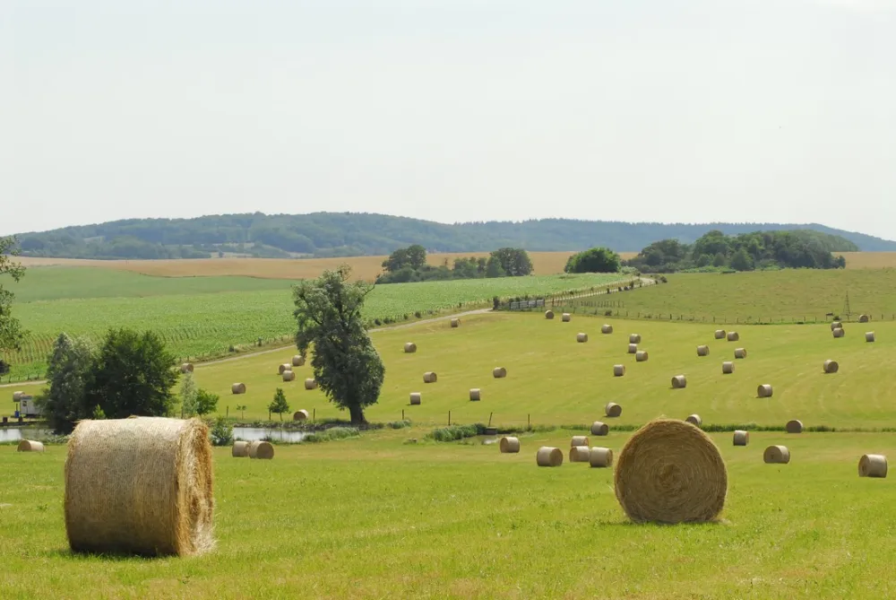 Camping La Jonquille