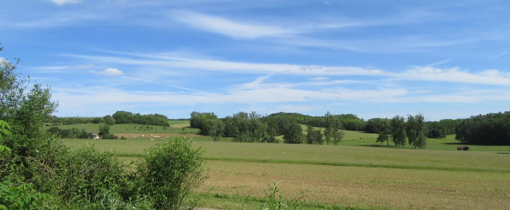 Camping La Jonquille