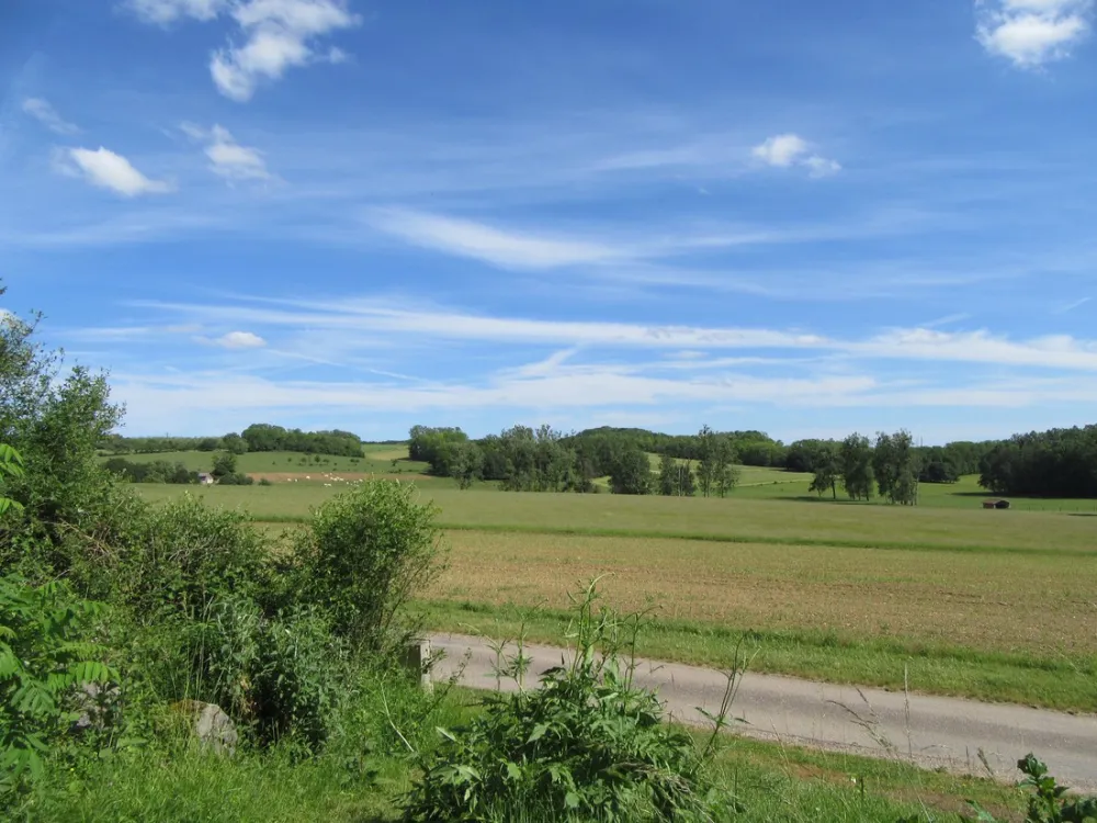 Camping La Jonquille