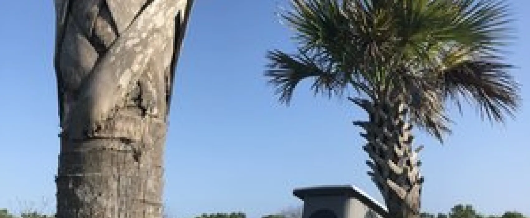 Grand Isle State Park