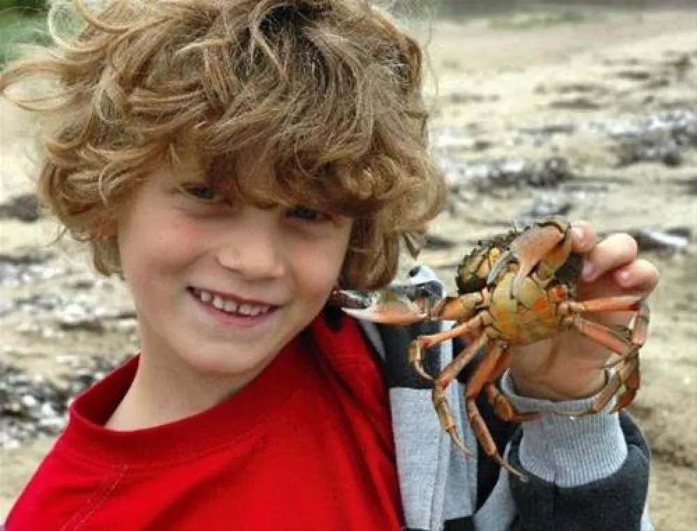 Asaa Camping & Hytteferie