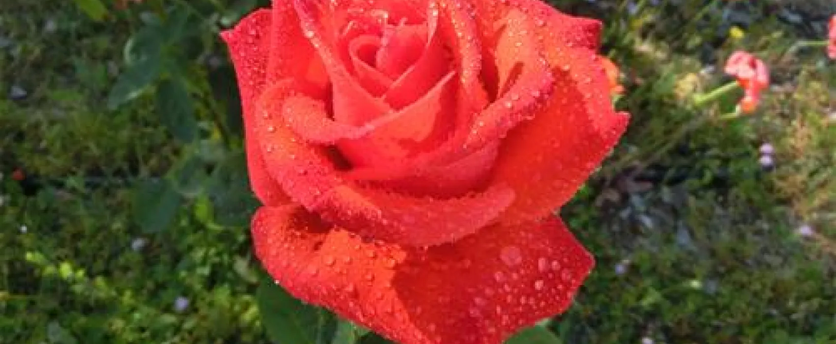 Campismo Municipal de Mogadouro