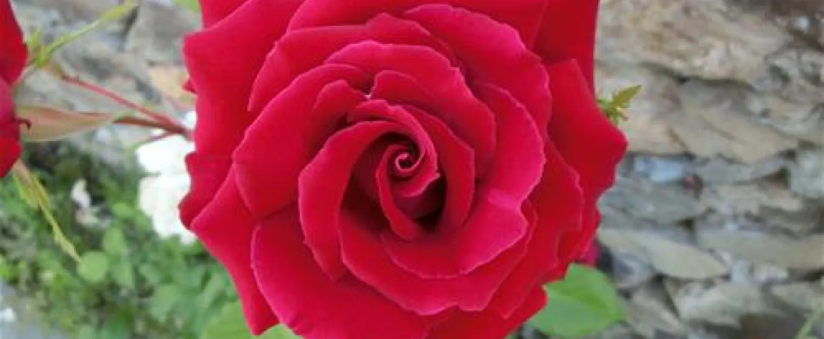 Campismo Municipal de Mogadouro