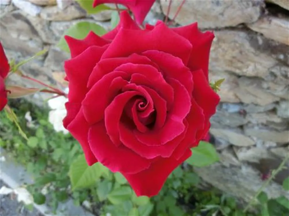 Campismo Municipal de Mogadouro