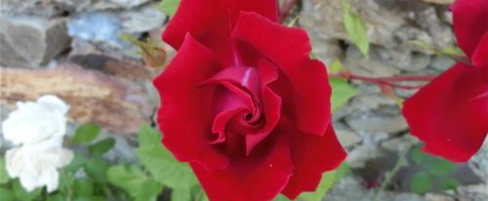 Campismo Municipal de Mogadouro