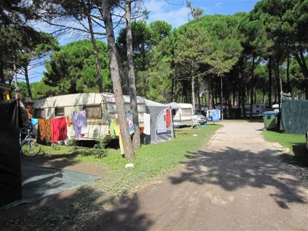 Camping Village Il Tridente