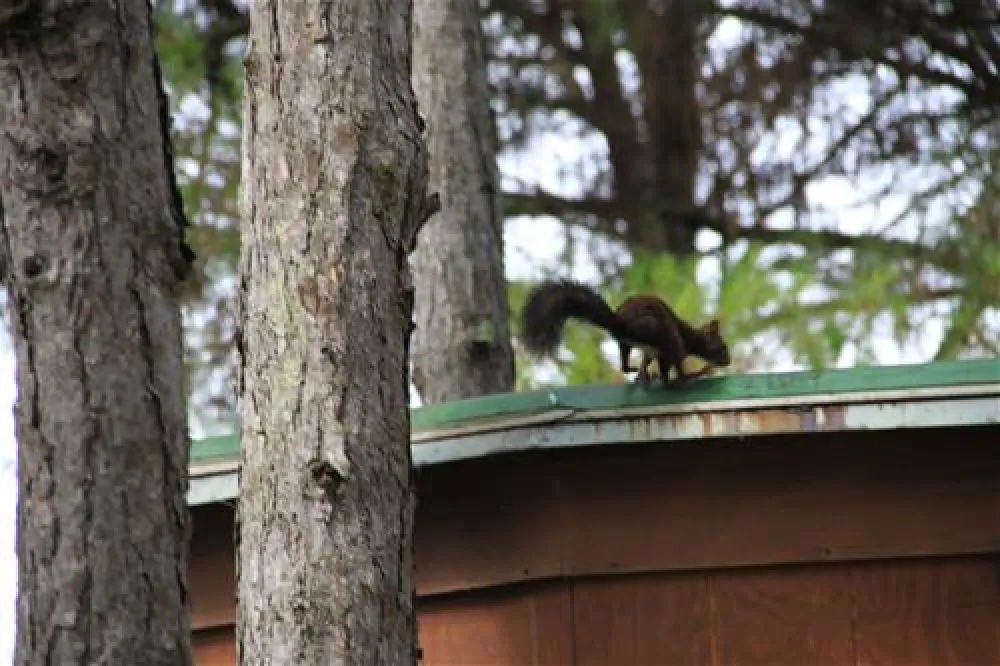 Camping Village Il Tridente