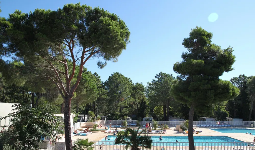 Camping Taxo Les Pins  