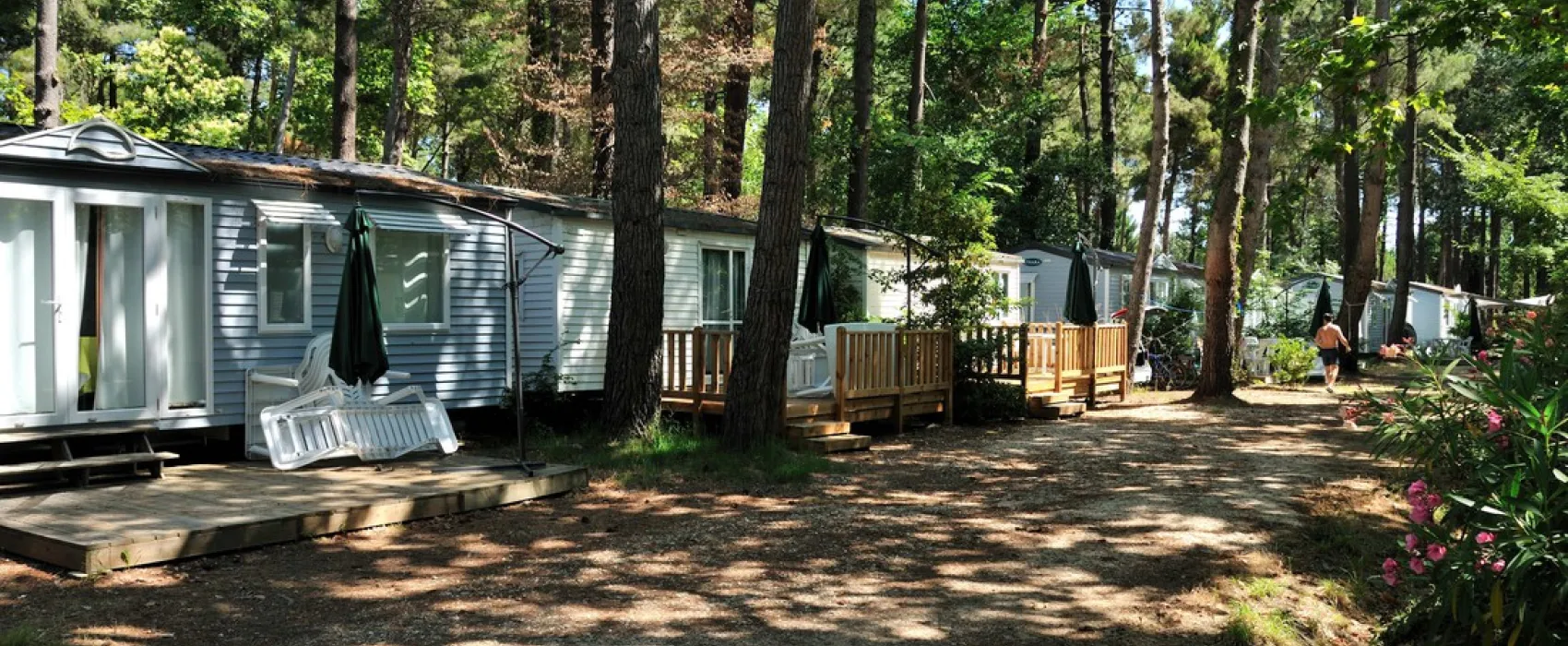 Camping Taxo Les Pins  