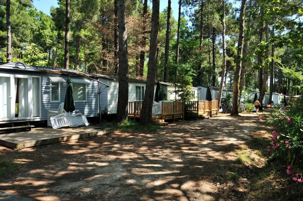 Camping Taxo Les Pins  