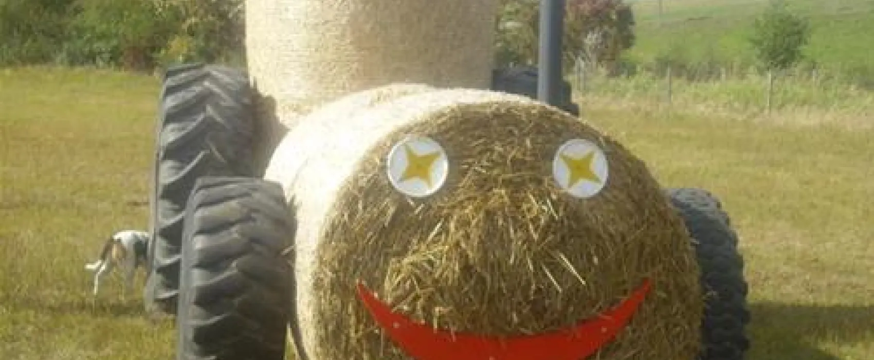 Camping Zum Fischer-Michl