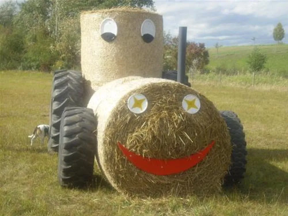 Camping Zum Fischer-Michl