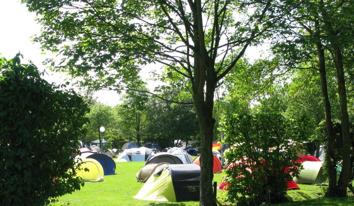 camping gasbrenner BRUNNER Camping Gaskocher Devil Gas Kartuschen Kocher Tisch Grill Piez