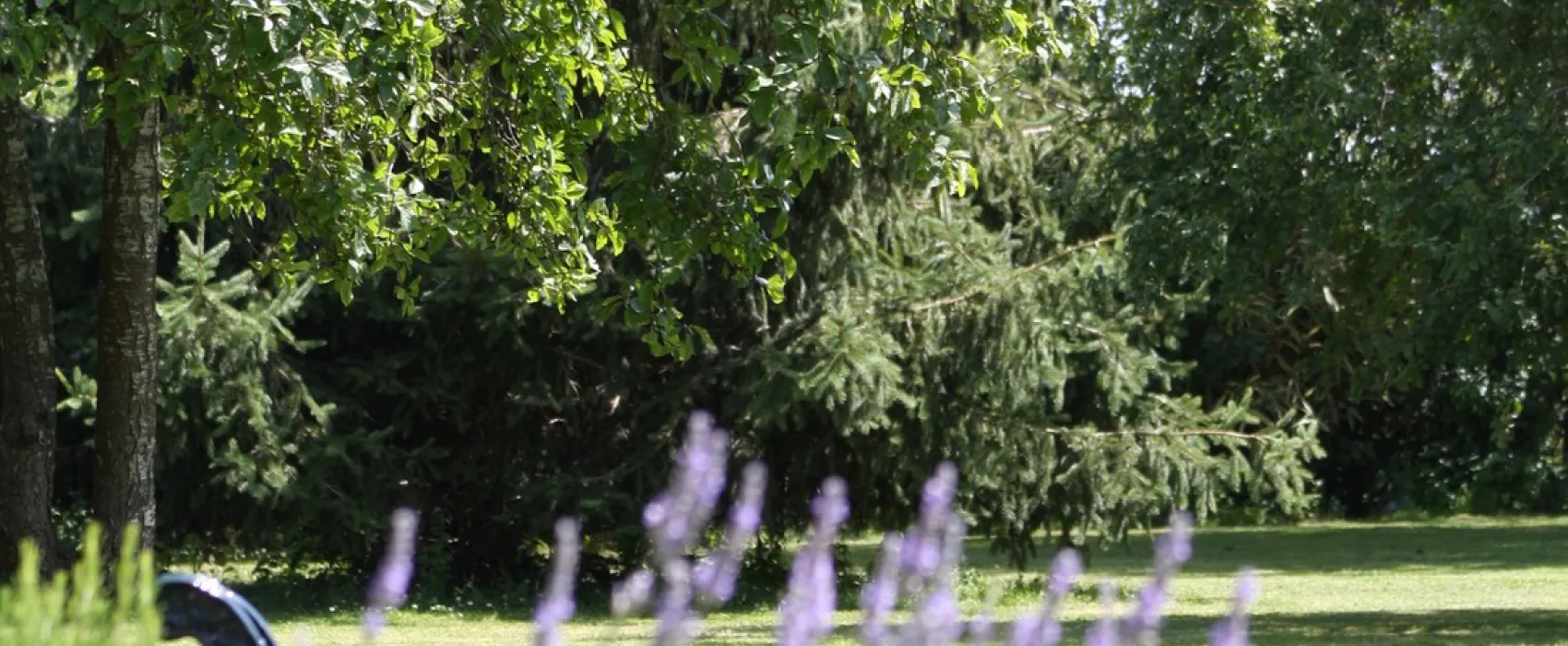 Camping familial - La Vieille Morte