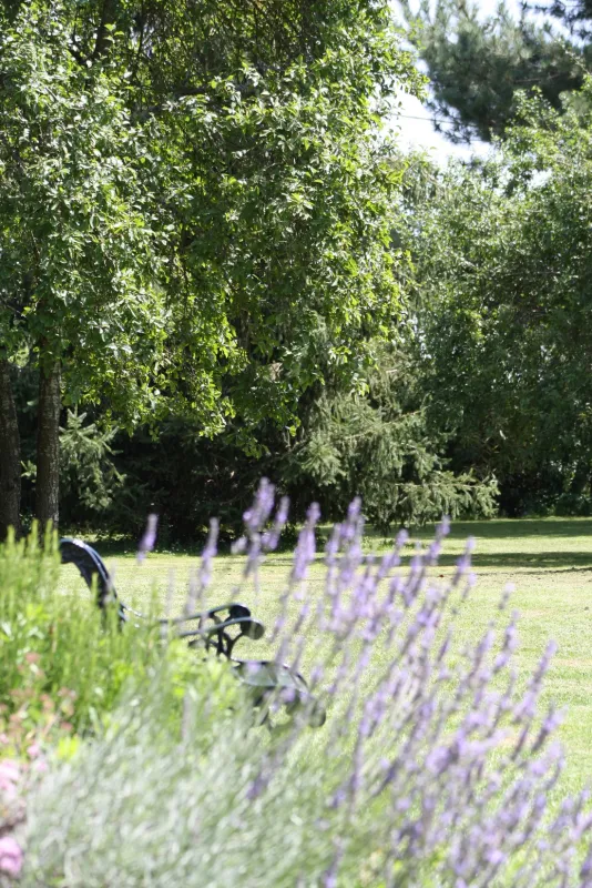 Camping familial - La Vieille Morte