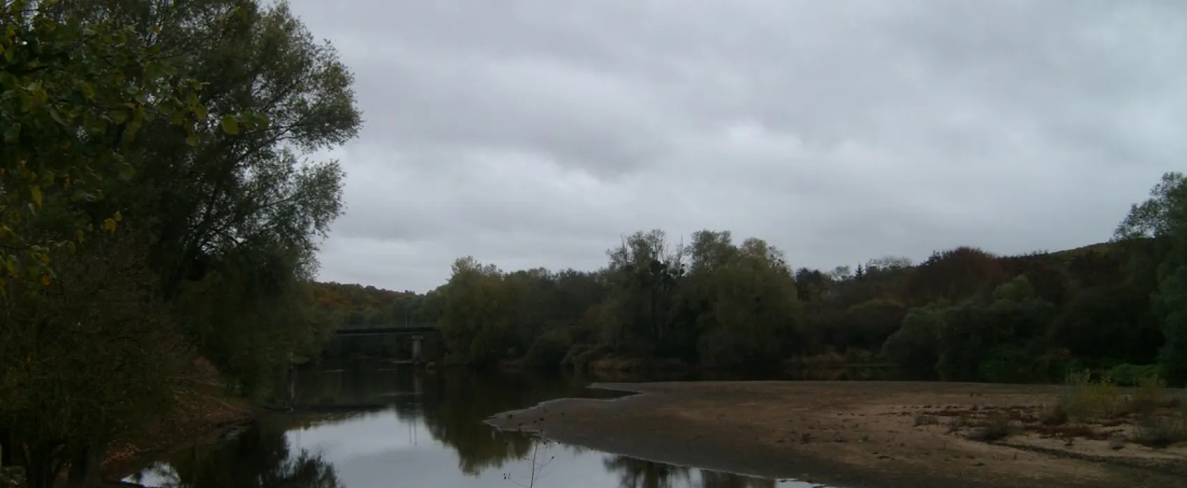 Municipal Les Platanes