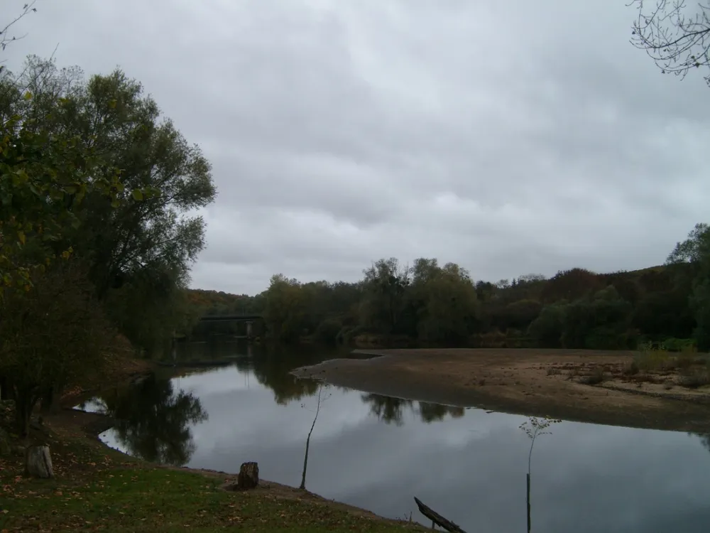 Municipal Les Platanes