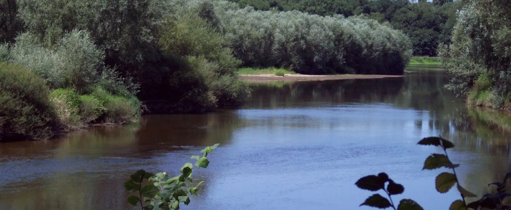 Municipal Les Platanes
