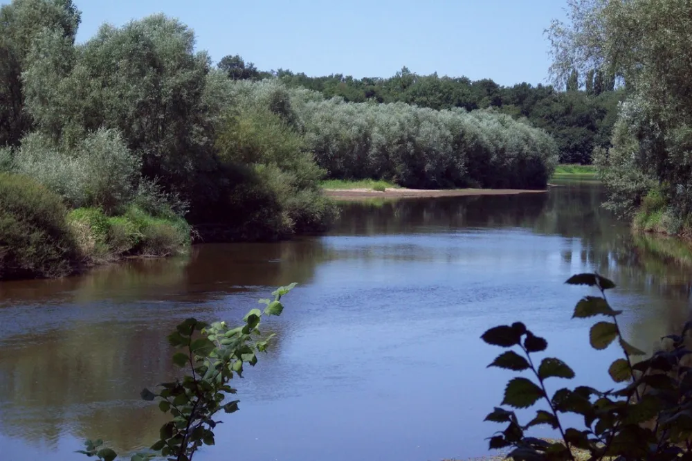 Municipal Les Platanes