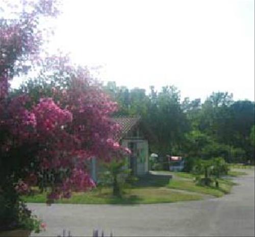Camping Le Bascat - Photo 2