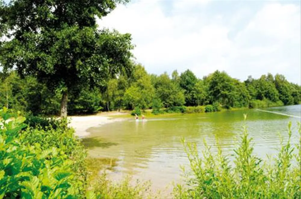 Regenbogen Ladbergen