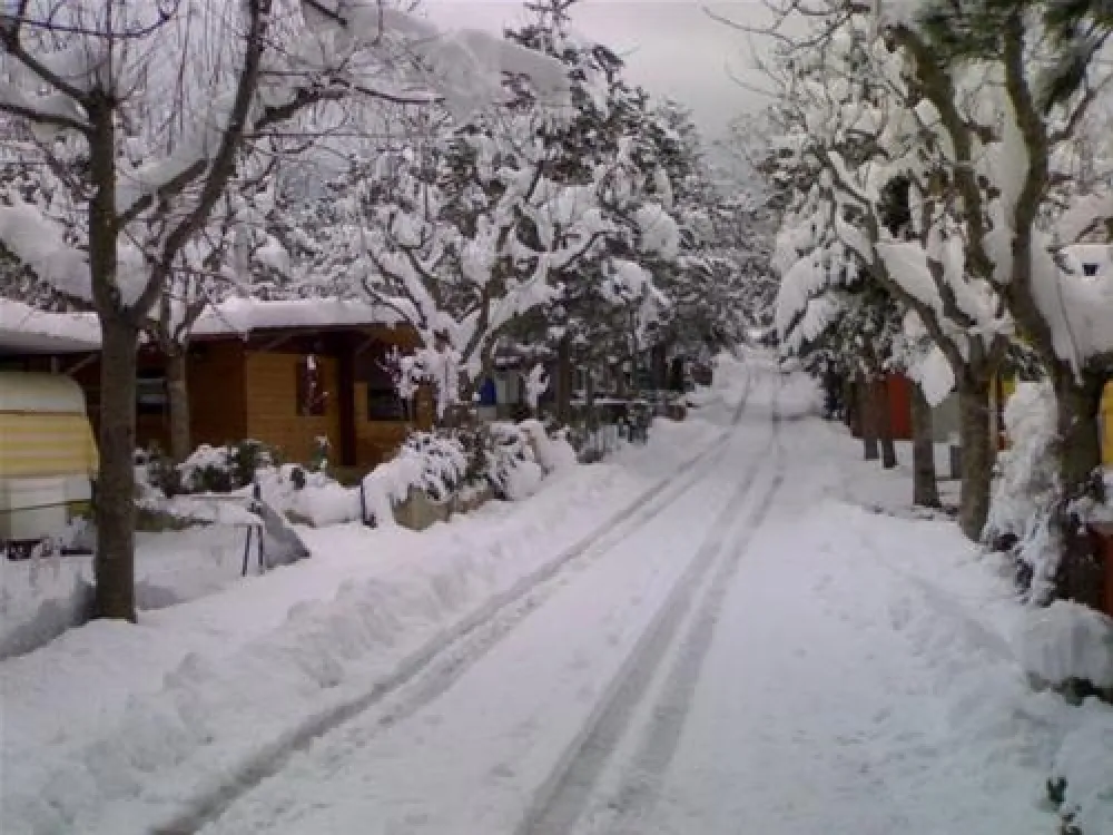 Campeggio 4 Stagioni