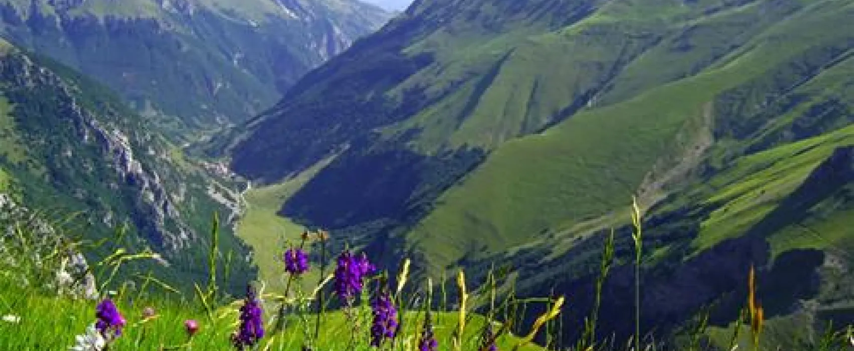 Campeggio 4 Stagioni