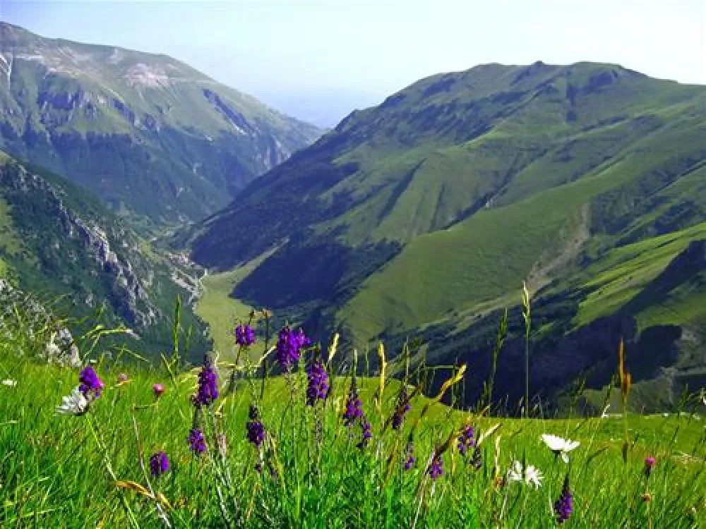 Campeggio 4 Stagioni