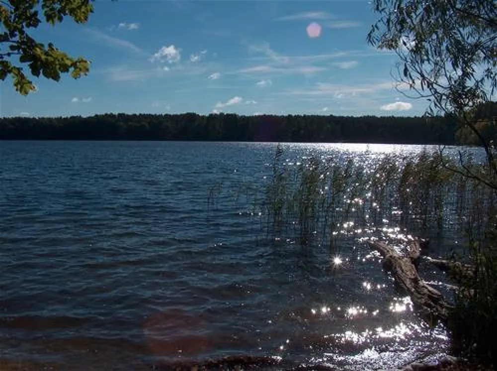 Hans-Jürgen Döhring