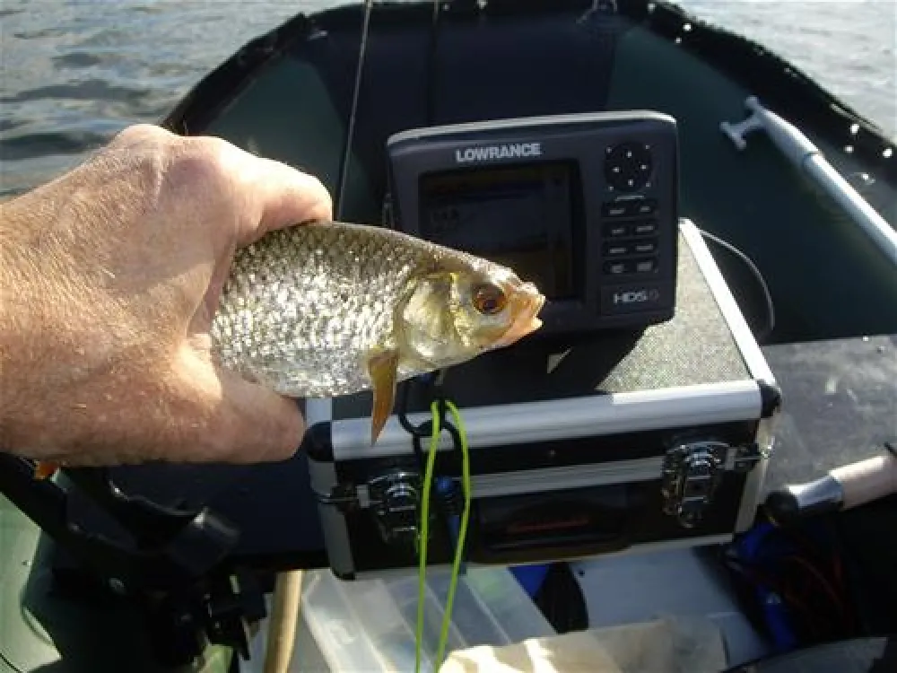 Hans-Jürgen Döhring