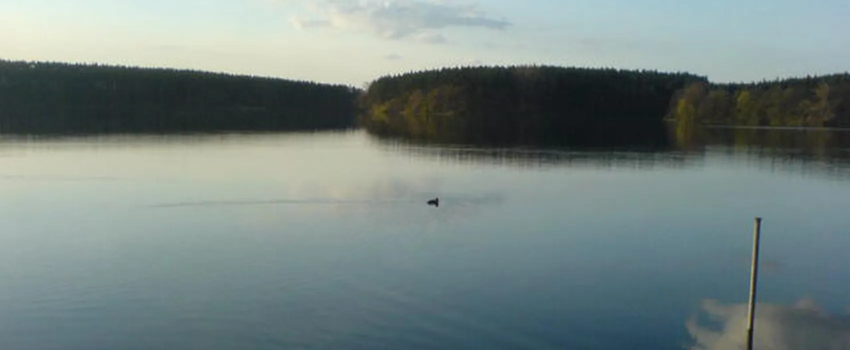 Hans-Jürgen Döhring