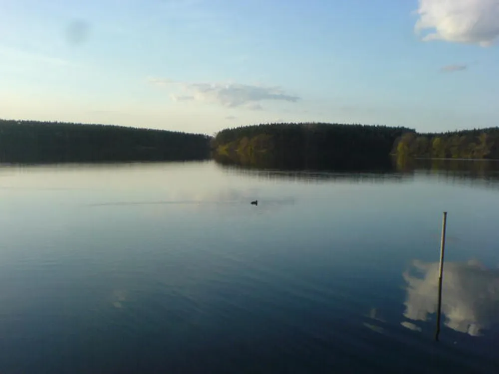 Hans-Jürgen Döhring