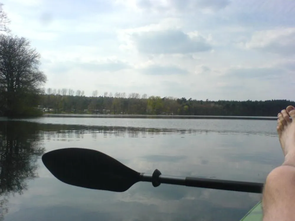 Hans-Jürgen Döhring